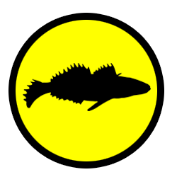 Bulhead