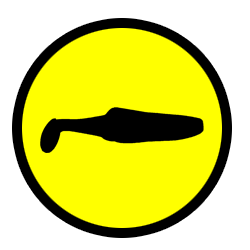 Shad