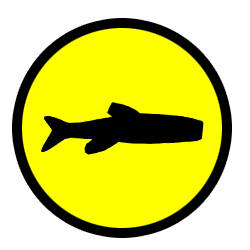 Small fish