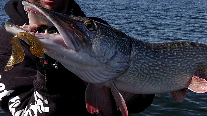 Welcome Orka Fishing Lures